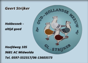 Geert Strijker Geert Strijker