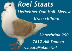 Oud Hollandse Meeuw op Facebook Oud Hollandse Meeuw op Facebook