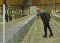Klaas en Jaap bij het inkooien