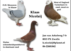 Klaas Nicolaij - Zwolle Klaas Nicolaij