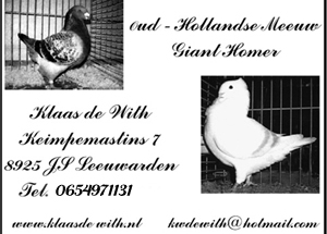 Klaas de With Oud Hollandse Meeuwen in Geelzilver